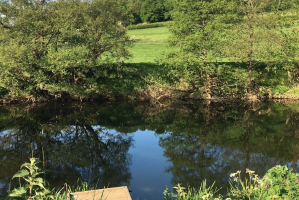 Eyes Meadow/River Derwent: Fish Population Survey – 12th September